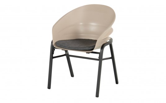 TORTORA Dostępny TORTORA Dostępny