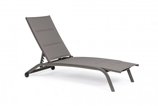 TORTORA Dostępny TORTORA Dostępny