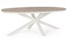 Stół ogrodowy owalnym kształcie aluminiowy nogi biało kremowe blad aluminium imitacja drewna powtarzanego zelmar 218x115 bizzotto