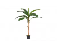 Bananowiec sztuczny w doniczce z wysokości 180 cm