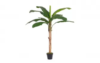 Bananowiec sztuczny w doniczce z wysokości 180 cm