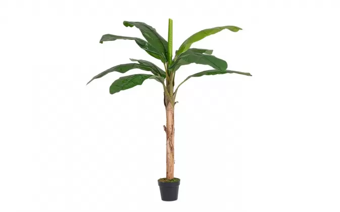 Bananowiec sztuczny w doniczce z wysokości 180 cm