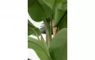 Duży bananowiec sztuczny 320 cm w donicy cementowej