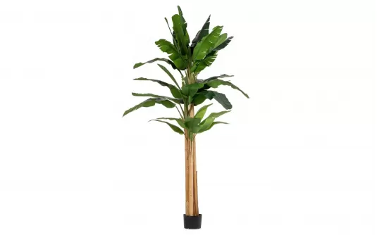 Duży bananowiec sztuczny 320 cm w donicy cementowej