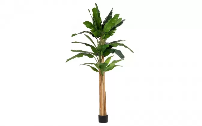 Duży bananowiec sztuczny 320 cm w donicy cementowej