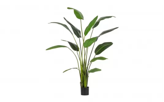 Strelicja dekoracyjna sztuczna 235 cm 13 liści