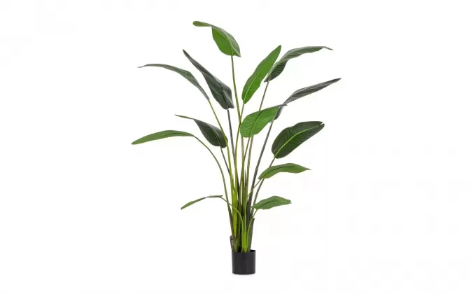 Strelicja dekoracyjna sztuczna 235 cm 13 liści
