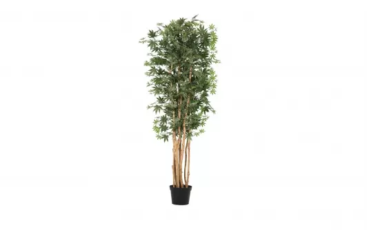 Sztuczna roślina doniczkowa klon kanadyjski 210 cm Sztuczna roślina doniczkowa klon kanadyjski 210 cm