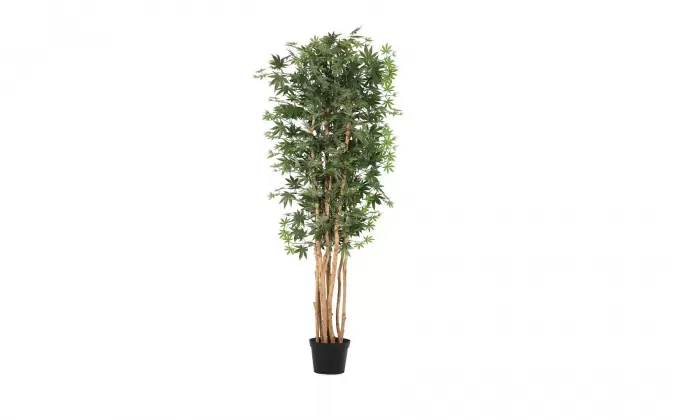 Sztuczna roślina doniczkowa klon kanadyjski 210 cm