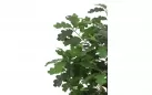 Sztuczna roślina doniczkowa dąb 1210 cm