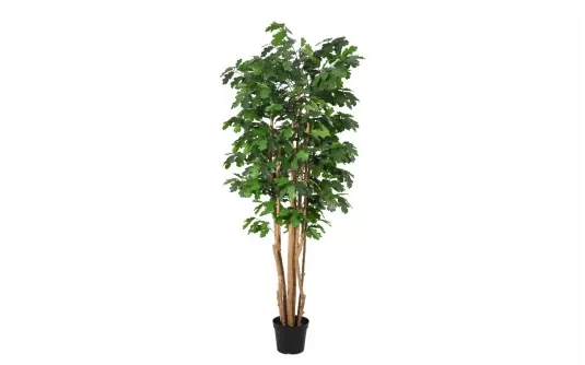Sztuczna roślina doniczkowa dąb 1210 cm Sztuczna roślina doniczkowa dąb 1210 cm