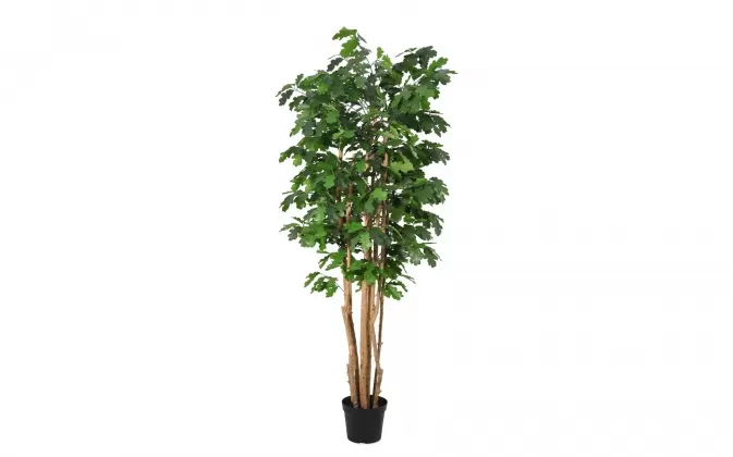 Sztuczna roślina doniczkowa dąb 1210 cm