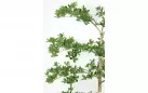 Sztuczna roślina doniczkowa o pittosporum 160 cm