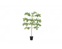 Sztuczna roślina doniczkowa o pittosporum 160 cm
