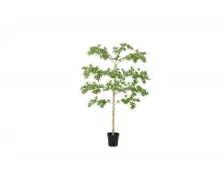 Sztuczna roślina doniczkowa o pittosporum 160 cm