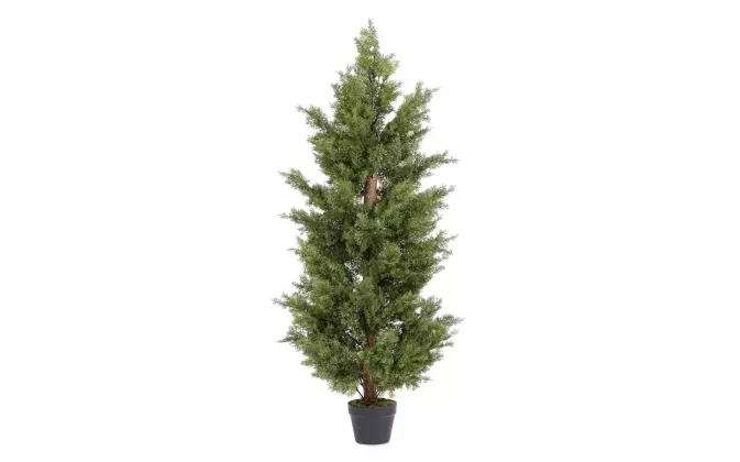 Sztuczna roślina doniczkowa cyprys 150 cm