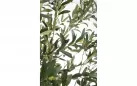 Sztuczne drzewko oliwkowe 210 cm