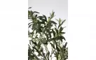 sztuczne drzewko oliwkowe 180 cm