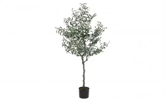 Sztuczna roślina doniczkowa drzewko oliwne 150 cm 984 liści Sztuczna roślina doniczkowa drzewko oliwne 150 cm 984 liści