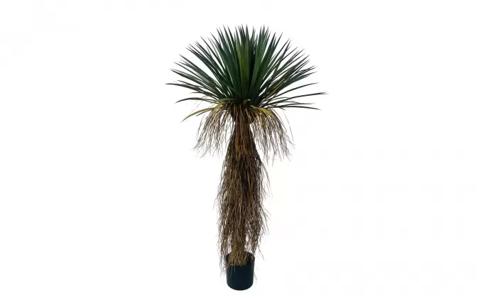 Sztuczna roślina doniczkowa dekoracyjna  juka rostrata 150 cm