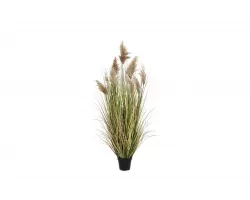 TRAWA PAMPASOWA GYNERIUM Sztuczna roślina dekoracyjna 150 cm