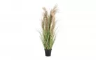 TRAWA PAMPASOWA AUSTRODERIA Sztuczna roślina dekoracyjna 90 cm