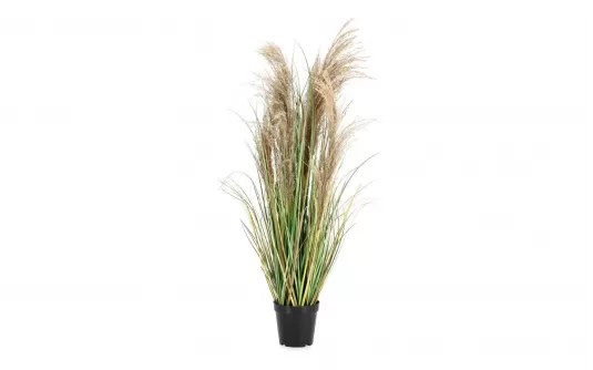 TRAWA PAMPASOWA AUSTRODERIA Sztuczna roślina dekoracyjna 90 cm TRAWA PAMPASOWA AUSTRODERIA Sztuczna roślina dekoracyjna 90 cm