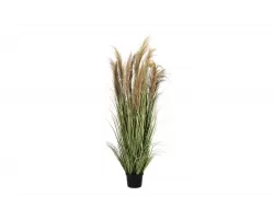 TRAWA PAMPASOWA AUSTRODERIA Sztuczna roślina dekoracyjna 180 cm