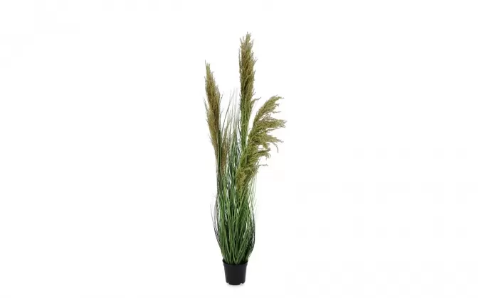 TRAWA PAMPASOWA CARINE Sztuczna roślina dekoracyjna 96,5 cm
