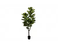FIKUS LIROLISTNY FICUS LYRATA Sztuczna roślina dekoracyjna 180 cm / 60 liści