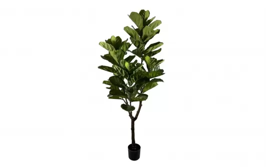 FIKUS LIROLISTNY FICUS LYRATA Sztuczna roślina dekoracyjna 180 cm / 60 liści