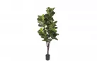 FIKUS LIROLISTNY FICUS LYRATA Sztuczna roślina dekoracyjna 220 cm / 102 liście
