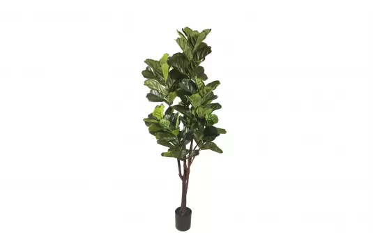 FIKUS LIROLISTNY FICUS LYRATA Sztuczna roślina dekoracyjna 220 cm / 102 liście FIKUS LIROLISTNY FICUS LYRATA Sztuczna roślina dekoracyjna 220 cm / 102 liście
