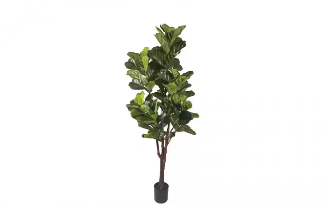 FIKUS LIROLISTNY FICUS LYRATA Sztuczna roślina dekoracyjna 220 cm / 102 liście