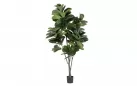 FIKUS LIROLISTNY FICUS LYRATA Sztuczna roślina dekoracyjna 230 cm / 123 liście