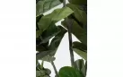 FIKUS LIROLISTNY FICUS LYRATA Sztuczna roślina dekoracyjna 230 cm / 123 liście