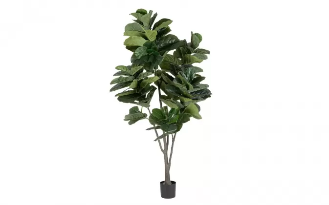 FIKUS LIROLISTNY FICUS LYRATA Sztuczna roślina dekoracyjna 230 cm / 123 liście