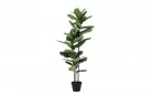 FIKUS LIROLISTNY FICUS LYRATA Sztuczna roślina dekoracyjna 145 cm / 39 liści