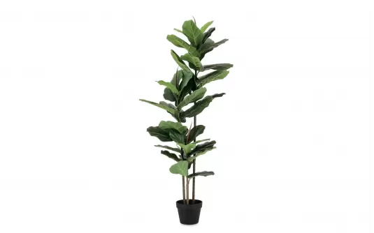 FIKUS LIROLISTNY FICUS LYRATA Sztuczna roślina dekoracyjna 145 cm / 39 liści FIKUS LIROLISTNY FICUS LYRATA Sztuczna roślina dekoracyjna 145 cm / 39 liści