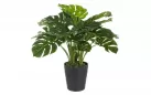 FILODENDRON Sztuczna roślina dekoracyjna 65 cm / 24 liście
