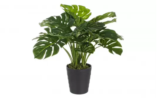FILODENDRON Sztuczna roślina dekoracyjna 65 cm / 24 liście FILODENDRON Sztuczna roślina dekoracyjna 65 cm / 24 liście