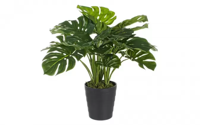 FILODENDRON Sztuczna roślina dekoracyjna 65 cm / 24 liście