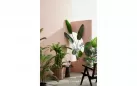 FILODENDRON Sztuczna roślina dekoracyjna 120 cm / 23 liście
