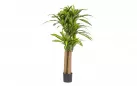 DRACENA Sztuczna roślina dekoracyjna 150 cm