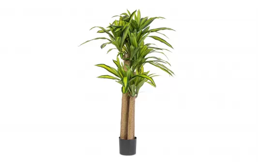 DRACENA Sztuczna roślina dekoracyjna 150 cm