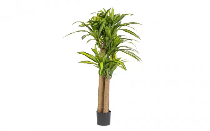 DRACENA Sztuczna roślina dekoracyjna 150 cm