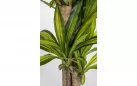 DRACENA Sztuczna roślina dekoracyjna 130 cm