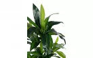 DRACENA Sztuczna roślina dekoracyjna 110 cm / 65 liści