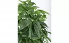 PACHIRA AQUATICA Sztuczna roślina dekoracyjna 160 cm / 360 liści