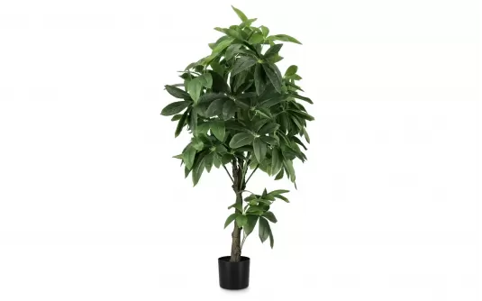PACHIRA AQUATICA Sztuczna roślina dekoracyjna 160 cm / 360 liści
